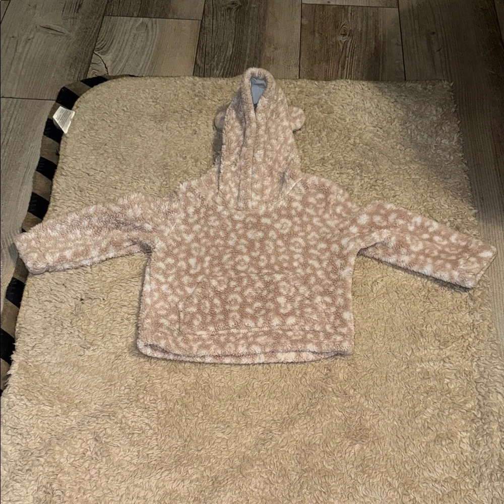 (2) Toddler Children’s Place Hoodies